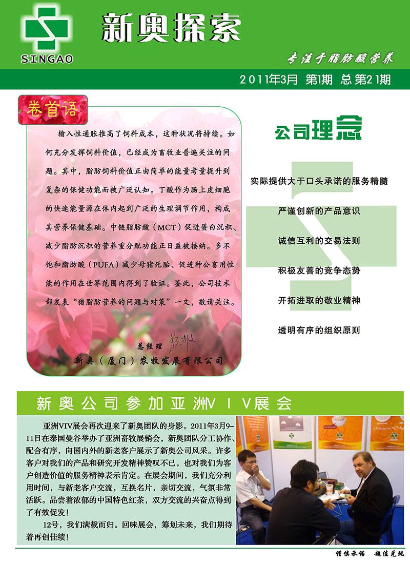 2025新澳精準(zhǔn)正版資料，全面解析與深度探索，2025新澳正版資料全面解析與深度探索