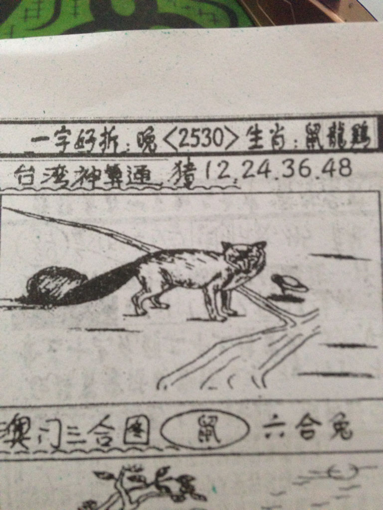 揭秘生肖奧秘，看圖猜一生肖劉伯溫的傳奇故事，揭秘生肖奧秘，劉伯溫傳奇故事中的生肖之謎探索
