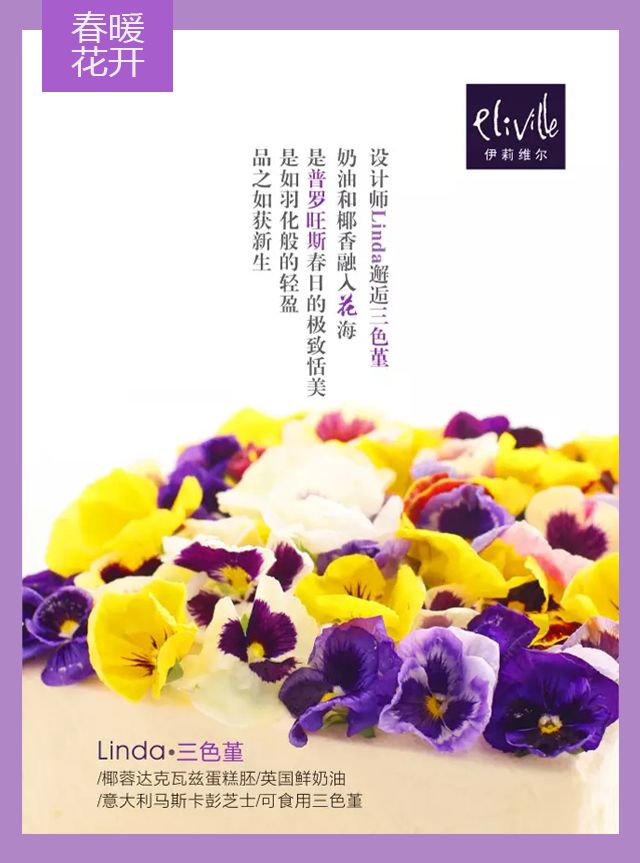 王中王339期指一生肖——探尋背后的秘密與玄機，探尋王中王339期生肖背后的秘密與玄機
