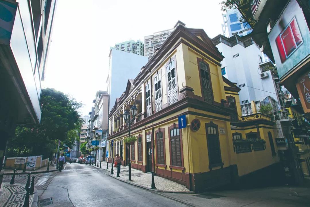 澳門今晚必開一肖，揭秘生肖運勢與預(yù)測邏輯，澳門今晚生肖預(yù)測揭秘，生肖運勢與預(yù)測邏輯分析