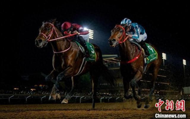 香港王中王一肖中特馬，探索背后的奧秘，香港王中王一肖中特馬背后的奧秘探索