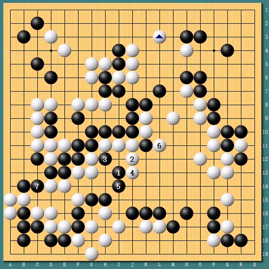 王中王四肖一碼資料論壇，探索與解析，王中王四肖一碼資料論壇，深度探索與解析