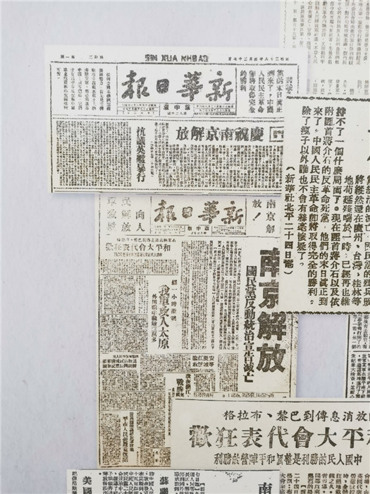 探索最新跑狗圖2025高清圖片，最新資訊與獨特魅力，最新跑狗圖2025高清圖片揭秘，資訊魅力一網打盡！