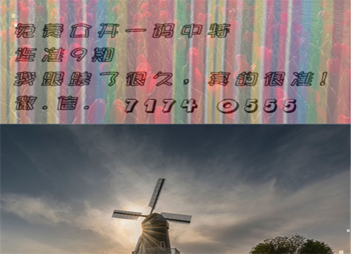 王中王四肖三期必出一期，揭秘彩票背后的秘密策略與技巧，揭秘彩票策略與技巧，王中王四肖三期必出一期之道
