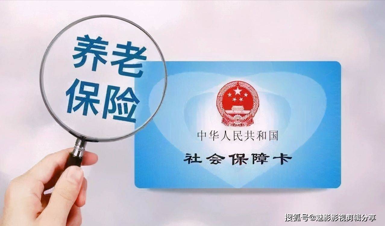 揭秘王中王一期一肖特中獎背后的秘密，王中王一期一肖特中獎背后的秘密揭秘