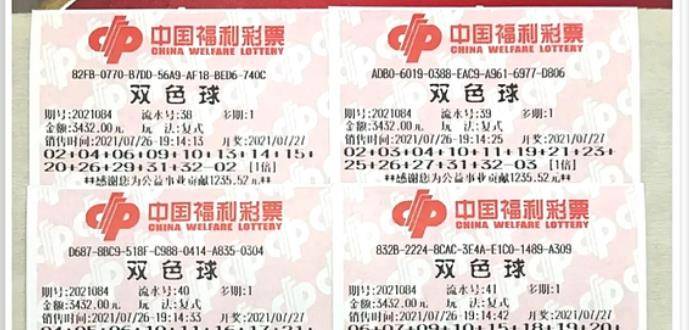 王中王084期指一生肖，解讀背后的秘密與生肖運(yùn)勢(shì)分析，王中王084期生肖揭秘，秘密解讀與運(yùn)勢(shì)展望