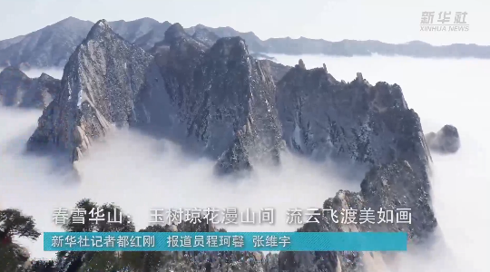 澳門最精準龍門，探索真正的精準之道，澳門最精準龍門，揭秘真正的精準之道