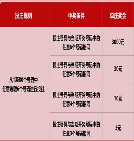 新澳門(mén)六開(kāi)彩天天開(kāi)獎(jiǎng)結(jié)果，揭秘彩票背后的秘密，揭秘新澳門(mén)六開(kāi)彩天天開(kāi)獎(jiǎng)背后的秘密