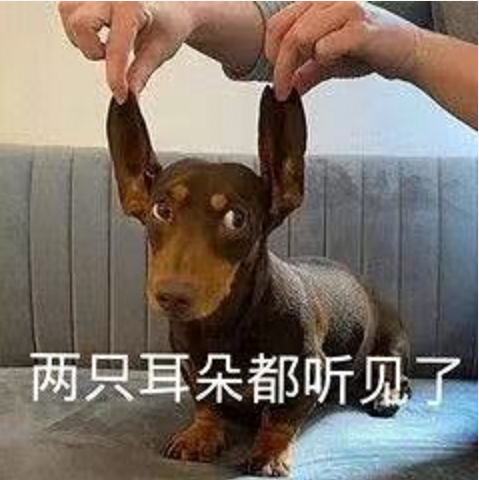 王中王四不象必中一肖，揭秘背后的秘密與策略，揭秘王中王四不象必中一肖背后的秘密與策略之道