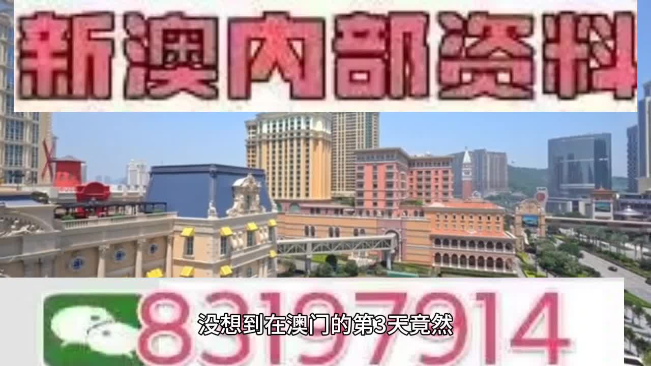 新澳門(mén)今晚必開(kāi)一肖一特，探索生肖與特碼的魅力，澳門(mén)生肖特碼探索，今晚必開(kāi)一肖一特之魅力