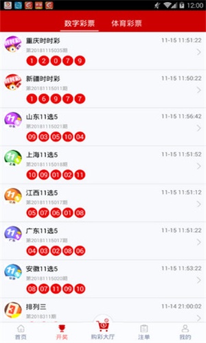 一碼一肖，揭秘背后的秘密與探索其獨(dú)特魅力，揭秘一碼一肖背后的秘密與獨(dú)特魅力探索