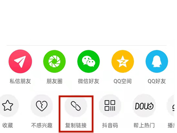 白小姐王中王中特一肖，神秘傳奇與SEO探索，神秘傳奇與SEO探索，白小姐王中王中特一肖的奧秘