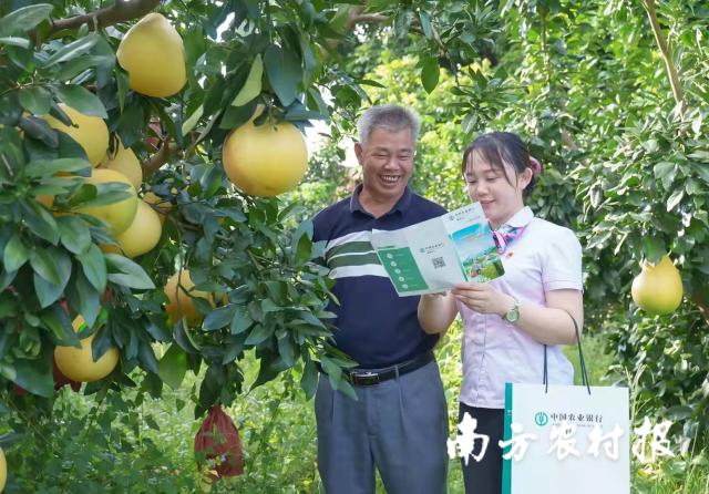 資料大全正版資料2025，一站式獲取所有你需要的信息，資料大全正版資料2025，一站式獲取所有信息總匯