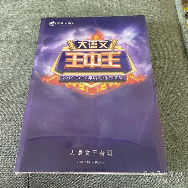 王中王資料2019一肖，揭秘生肖運勢與特性，揭秘生肖運勢與特性，王中王資料2019一肖解析