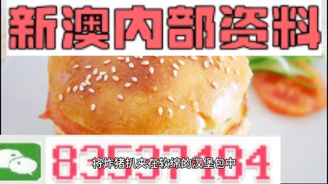 2025新澳正版資料精準解析，2025新澳正版資料精準解析手冊