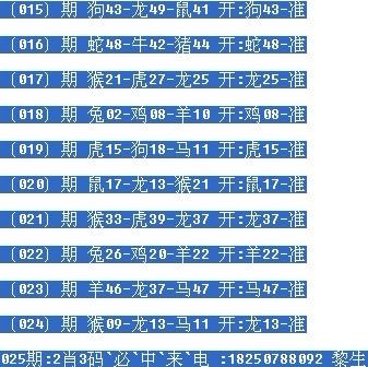 一肖中碼，揭秘彩票密碼，掌握幸運之鑰，揭秘彩票密碼，掌握幸運之鑰——一肖中碼揭秘