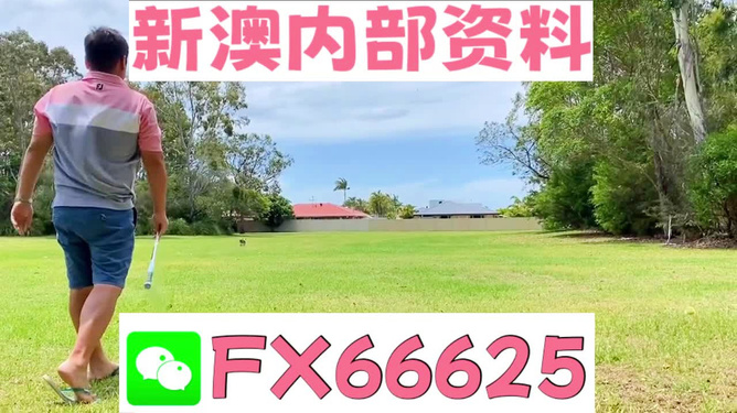 王中王一碼二肖，揭秘背后的秘密，揭秘王中王一碼二肖背后的秘密