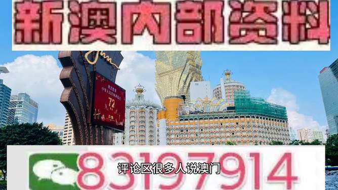 澳門特馬今天開獎結果及彩票背后的故事，澳門特馬今天開獎結果與彩票背后的故事揭秘