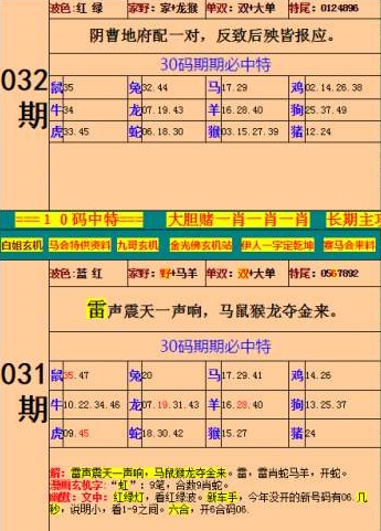 王中王特馬資料最準一肖——揭秘精準預測的秘密，揭秘王中王特馬資料最準預測，一肖精準預測的秘密