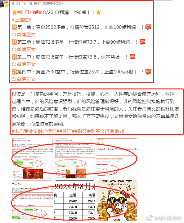 王中王富婆中一肖——揭秘背后的故事與真相，揭秘王中王富婆中一肖背后的真相與故事