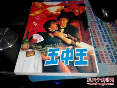 王中王資料一肖中特小說，深度解析與探索，王中王資料一肖中特小說的深度解析與探索之旅
