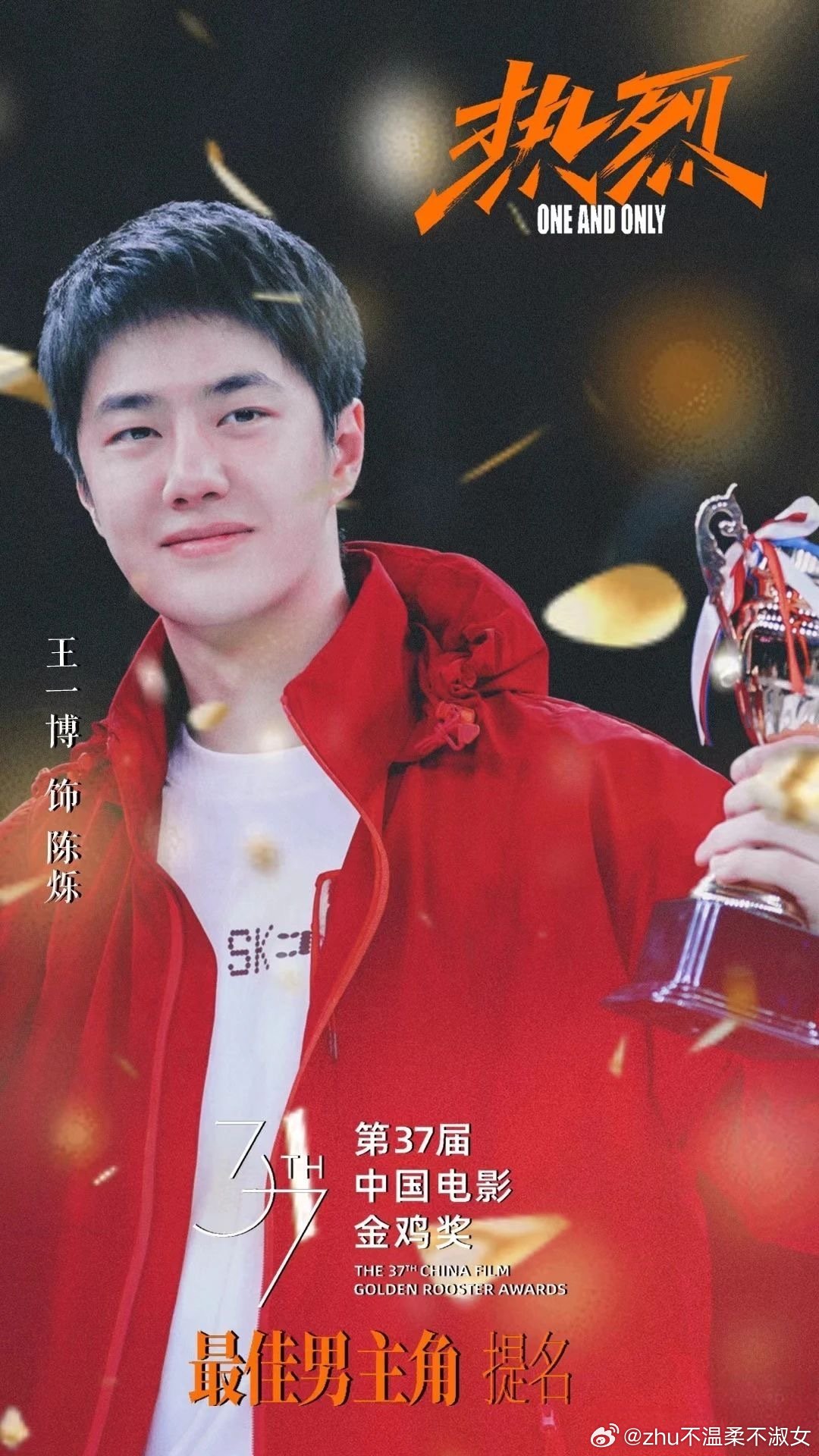 王中王一肖一特一中一中，探尋背后的故事與奧秘，探尋王中王一肖背后的故事與奧秘