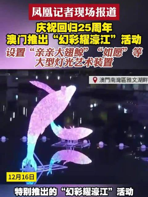 新澳門六開獎結(jié)果查詢濠江論壇——快速獲取開獎信息的首選平臺，澳門六開獎結(jié)果查詢首選平臺，濠江論壇快速更新開獎信息