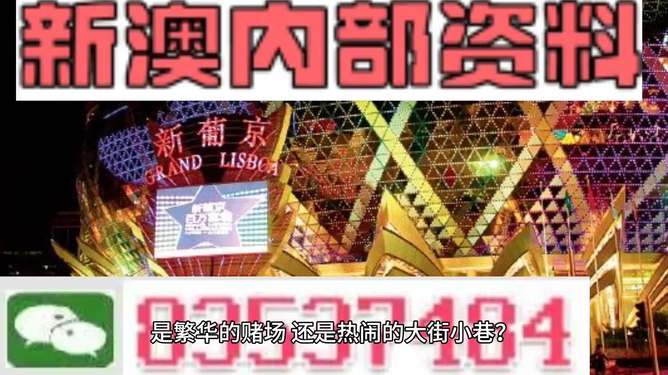 新澳門精準資料大全管家婆料，探索與解析，澳門精準資料大全解析，探索管家婆料內幕