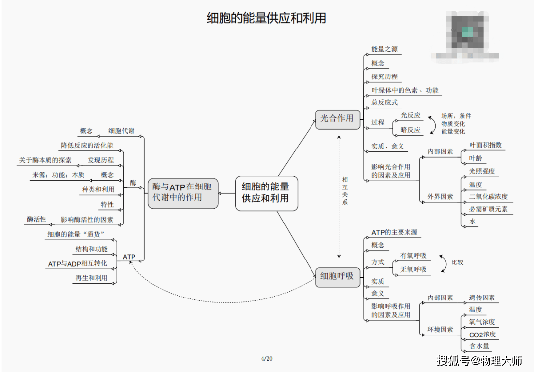 澳門管家婆三期必開一特，揭秘背后的秘密與策略，澳門管家婆三期必開一特揭秘，背后的秘密與策略全解析