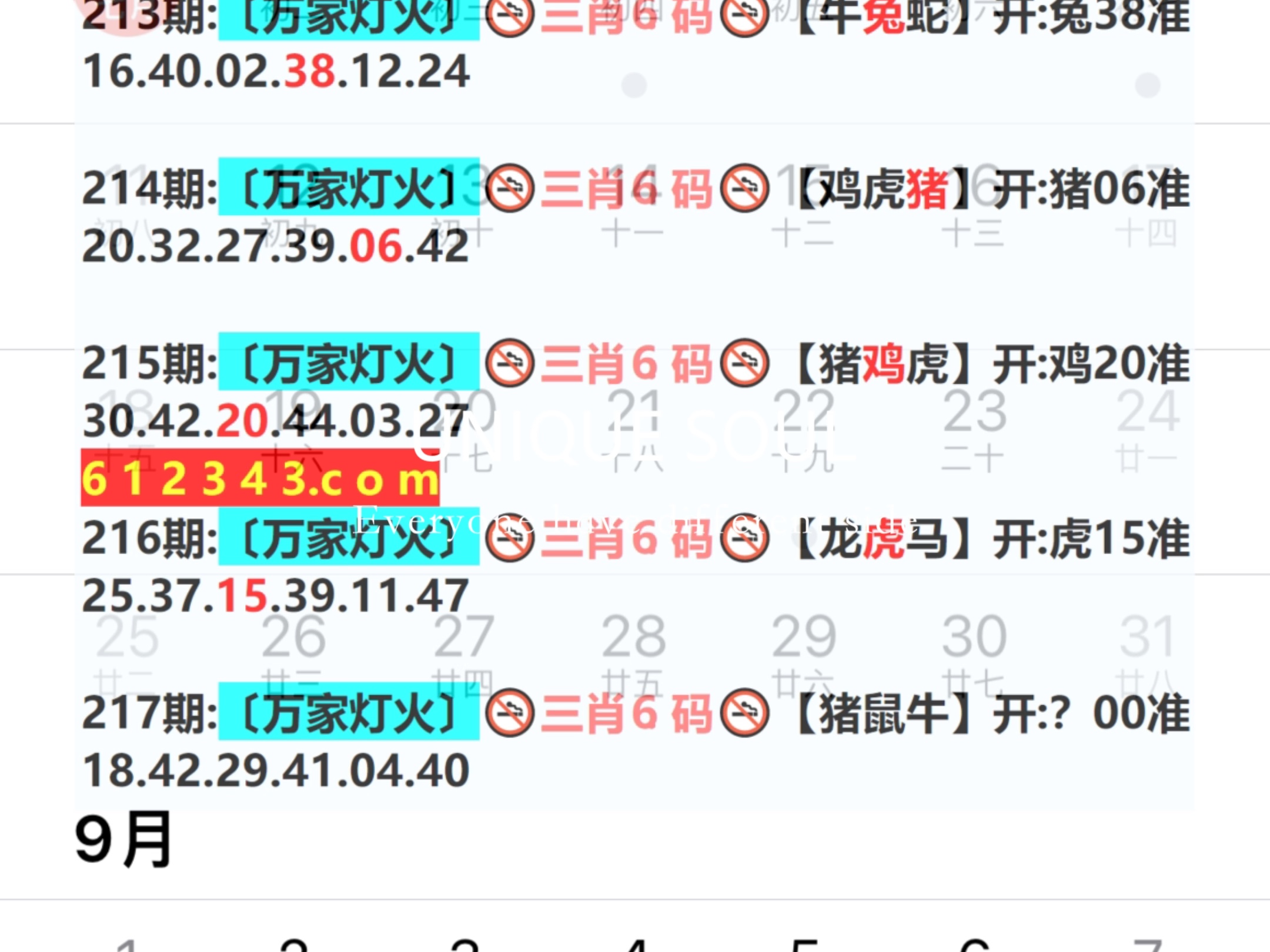 新奧今日六肖中特，揭秘背后的秘密與趨勢分析，揭秘新奧今日六肖中特背后的秘密與趨勢分析