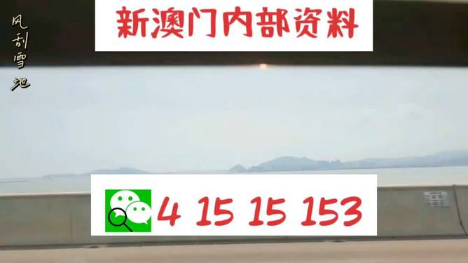 新澳2025最新資料生肖，深度解析與預(yù)測展望，新澳2025最新生肖資料深度解析與未來預(yù)測展望