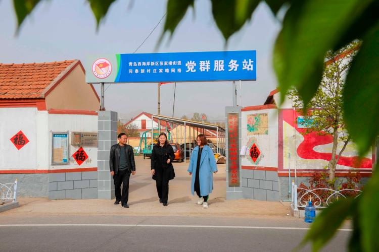 2025新澳天天開彩大全——衣冠群獸探秘，2025新澳天天開彩大全，衣冠群獸探秘之旅