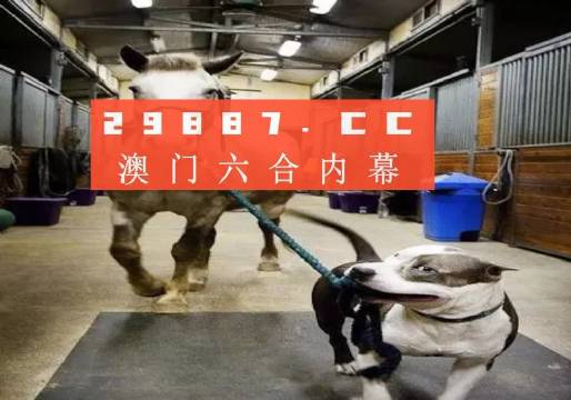澳門(mén)一肖一碼一必中一肖，同舟前進(jìn)的奧秘與策略，澳門(mén)一肖一碼必中策略與前進(jìn)奧秘，同舟共濟(jì)的揭秘與策略