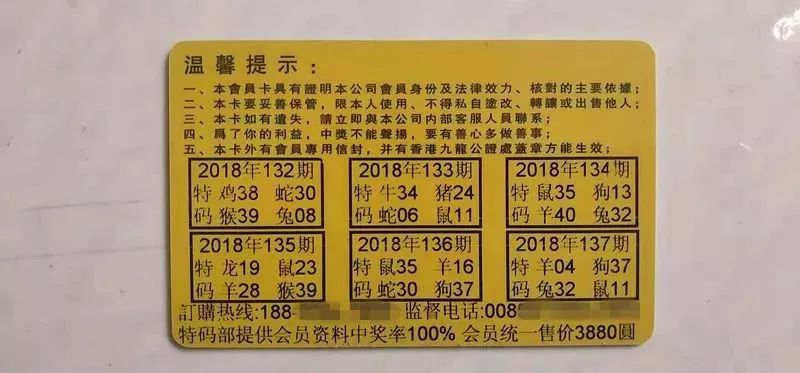 香港中特期期準資料，深度解析與探索，香港中特期期準資料深度解析與探索報告