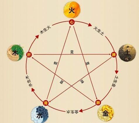 鐵算算盤(pán)4887最準(zhǔn)資料，揭秘其背后的秘密與優(yōu)勢(shì)，揭秘鐵算算盤(pán)4887，最準(zhǔn)資料背后的秘密與優(yōu)勢(shì)