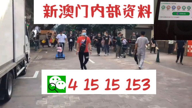 澳門管家婆一馬一中一開，揭秘背后的秘密與策略，澳門管家婆一馬一中一開，揭秘背后的秘密與策略揭秘背后的秘密與策略