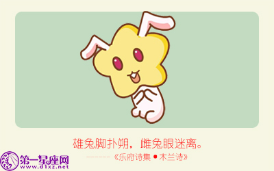 揭秘精準(zhǔn)生肖，探尋神奇的數(shù)字組合777778與888888背后的生肖秘密，揭秘生肖秘密，數(shù)字組合777778與888888背后的生肖傳奇