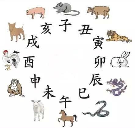 澳門天天彩期期精準(zhǔn)十二生肖預(yù)測——揭秘彩票秘密，澳門天天彩期期精準(zhǔn)十二生肖預(yù)測，揭秘彩票秘密之獨家解析