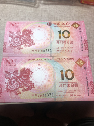揭秘明天澳門必中生肖的神秘面紗，揭秘明天澳門必中生肖的神秘秘密