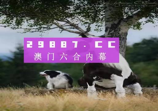 揭秘7777788888精準新跑狗——全方位解讀與體驗，揭秘精準新跑狗，全方位解讀與體驗7777788888跑狗秘籍