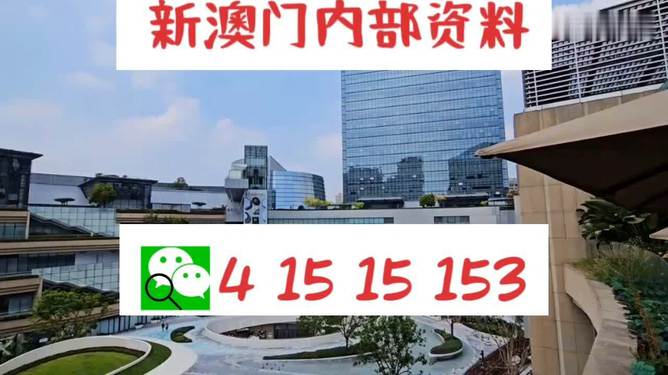 芳草地2025澳門資料，探索未來的奧秘，探索澳門未來奧秘，芳草地資料揭示的藍(lán)圖 2025年展望