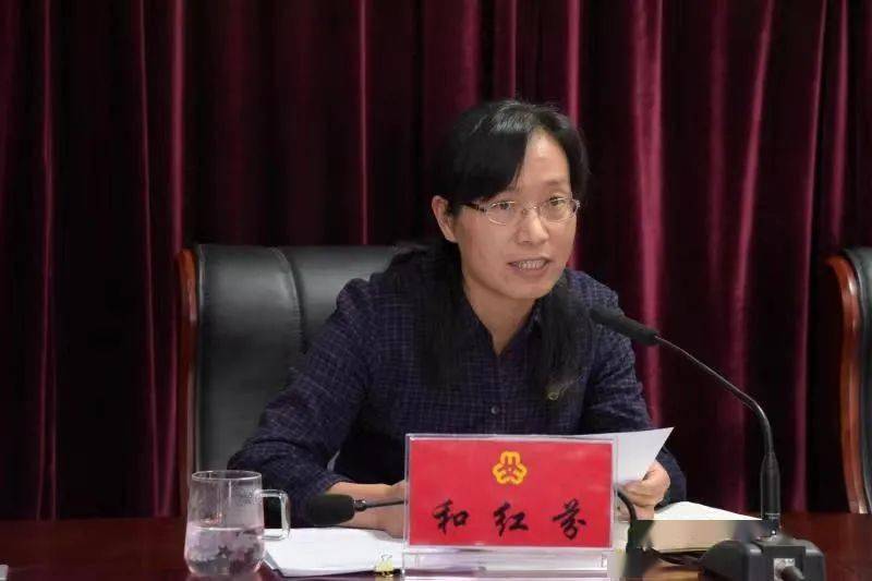 二四六香港期期中的資料解析與SEO優(yōu)化策略，香港期期二四六資料解析與SEO優(yōu)化策略探討