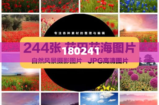 揭秘精準管家婆狗，77777與88888的神秘面紗，揭秘精準管家婆狗，神秘數(shù)字77777與88888背后的秘密