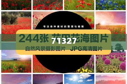 探索777788888管家婆網(wǎng)，一站式解決方案的綜合服務(wù)平臺，一站式解決方案的綜合服務(wù)平臺，探索777788888管家婆網(wǎng)
