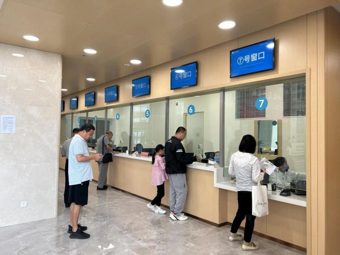 新門內(nèi)部資料免費下載——探索與揭秘，新門內(nèi)部資料揭秘，免費下載與探索之旅