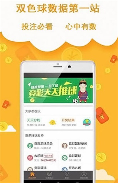 王中王493333中特網(wǎng)，探索與解析，王中王493333中特網(wǎng)，深度探索與解析
