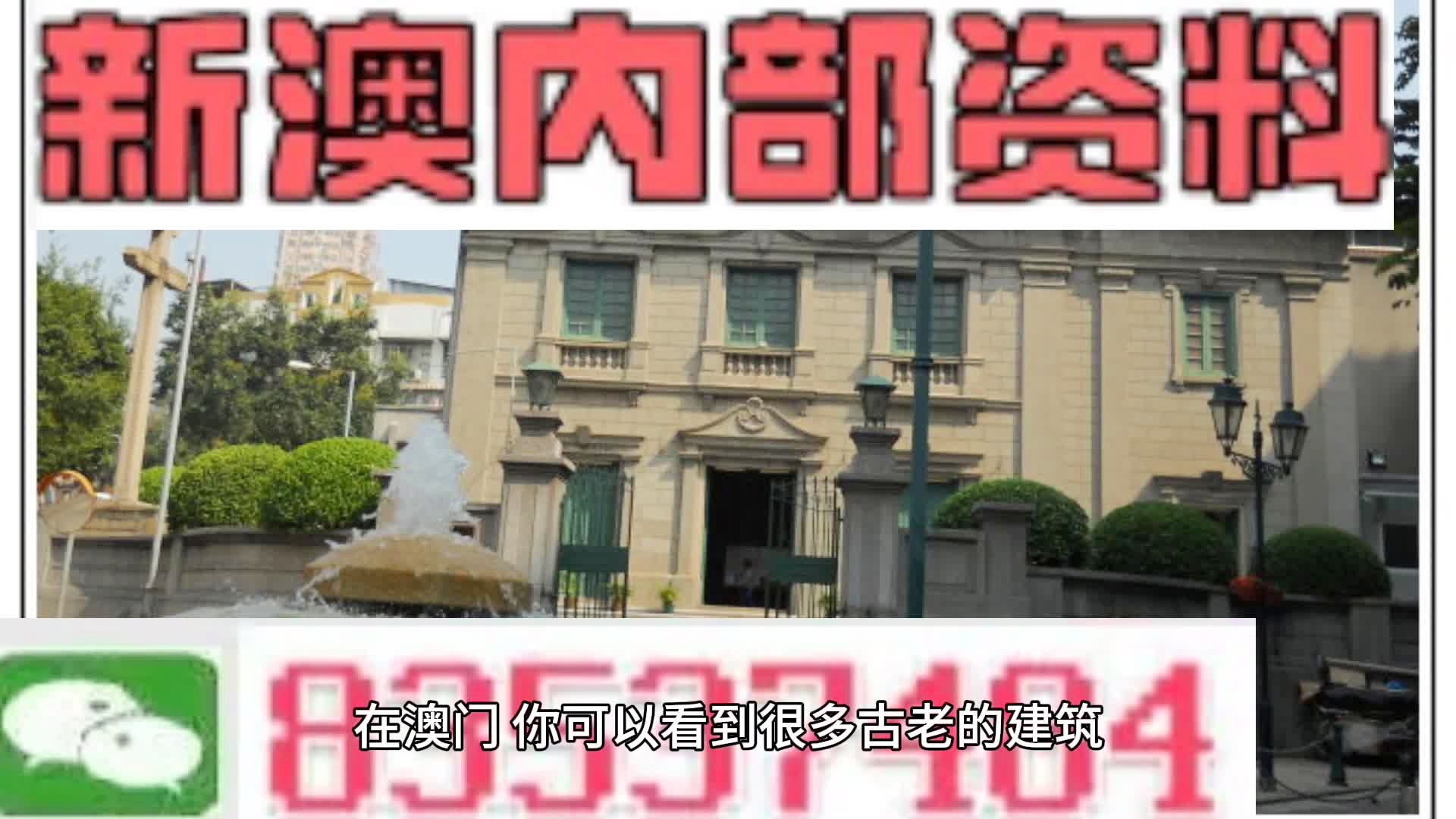 新門內部資料大全更新，掌握最新資源，引領行業(yè)前沿，新門內部資料更新引領行業(yè)前沿掌握最新資源大全