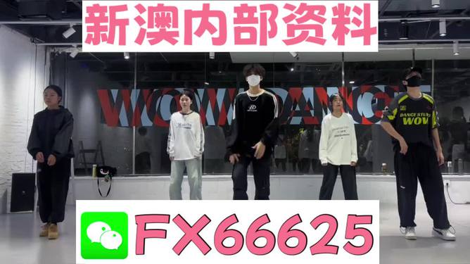 探索未來，2025新澳最新版精準(zhǔn)特色解析，探索未來，揭秘新澳最新版精準(zhǔn)特色解析（2025版）