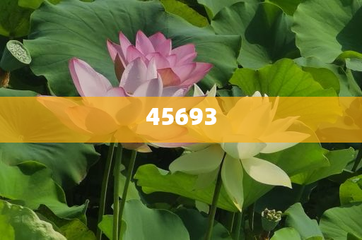 全新升級，7777888888精準(zhǔn)新管家，全新升級管家，精準(zhǔn)管理，一站式服務(wù) 7777888888新管家重磅來襲