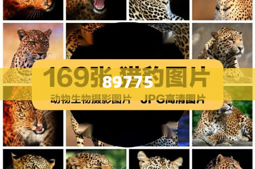 關于新奧歷史開獎記錄的最新信息，今天公布了嗎？，新奧歷史開獎記錄最新信息公布了嗎？